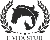 E VITA STUD