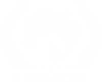 E VITA STUD