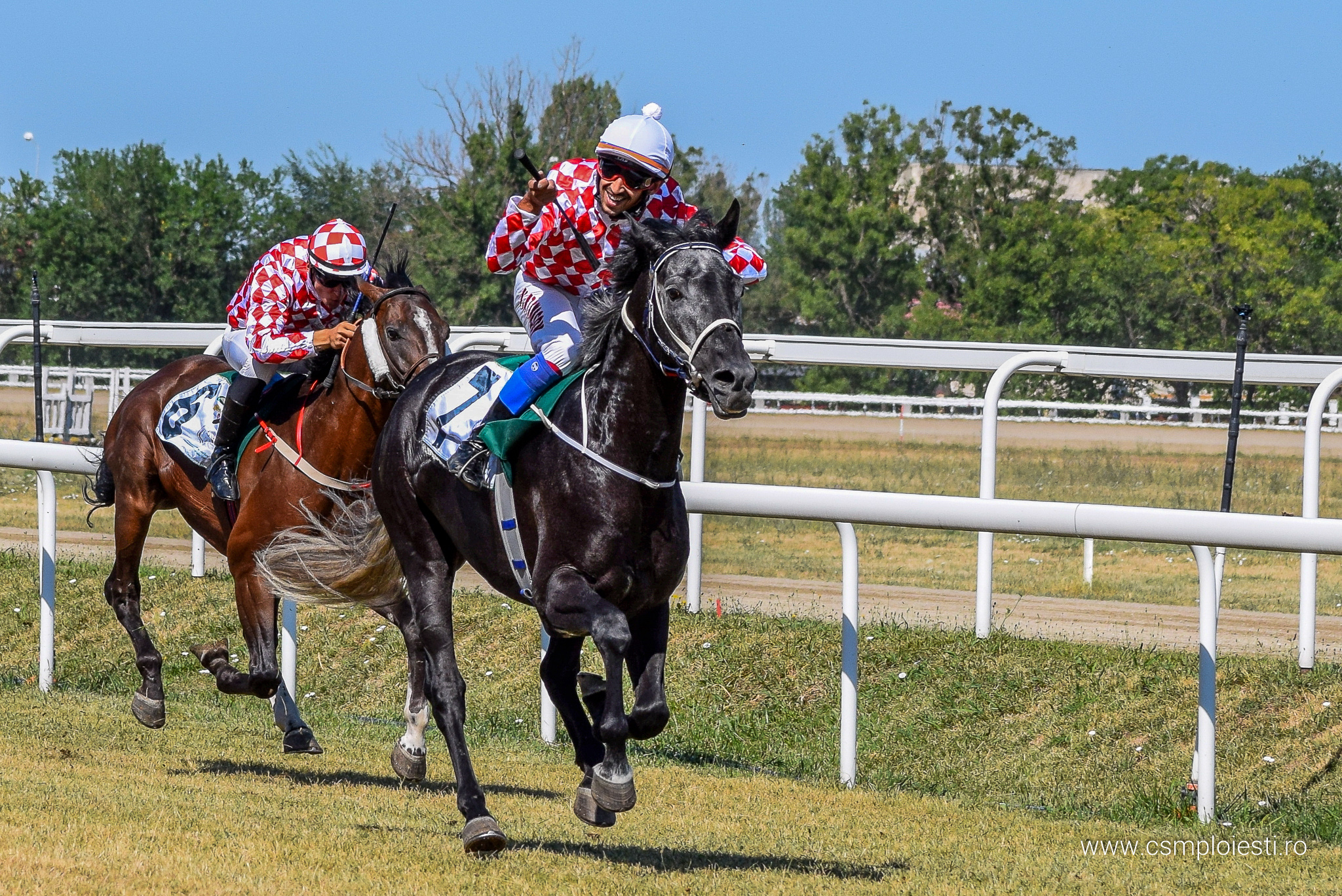 Locul 1 – Hipodrom Ploiesti, Romania 17 Iulie 2022 – Aquila Nera