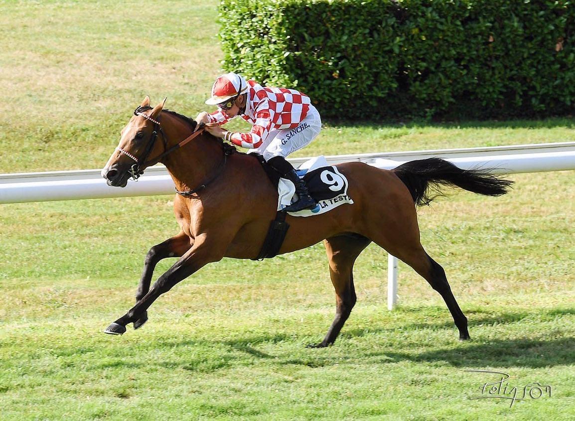 Locul 1 – Dax – Prix de l’AFAC, Franta – 26.06.2022