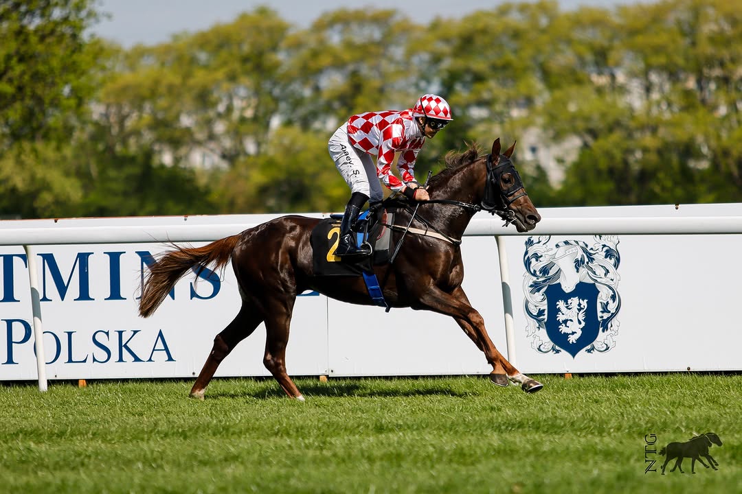 Locul 1 în Polonia cu Fifre al Maury