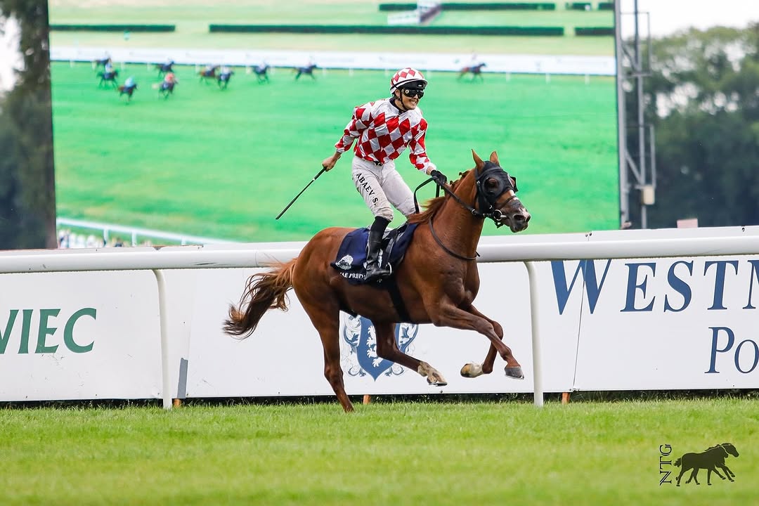 UAE PRESIDENT CUP 2024