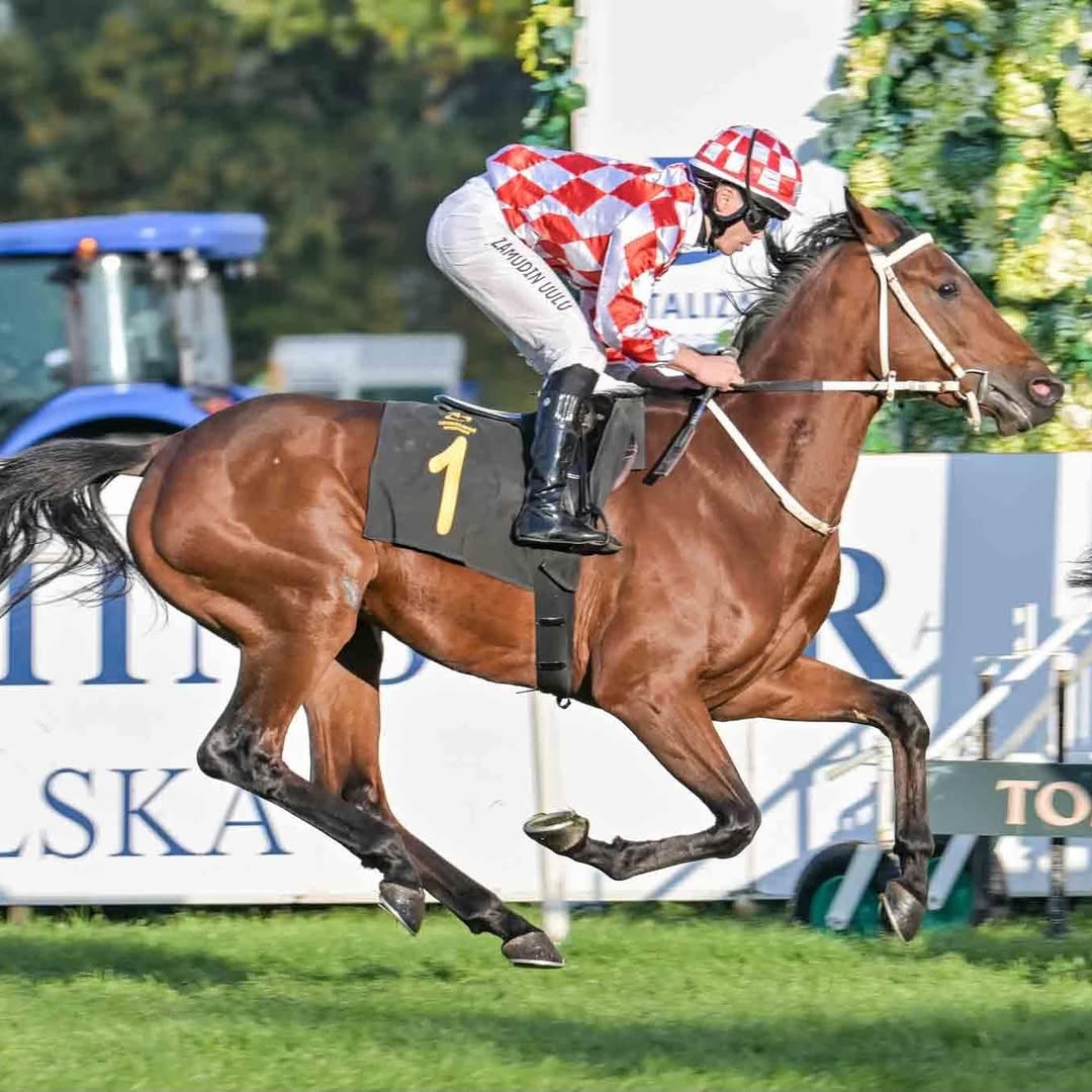 Locul 2 la Varșovia