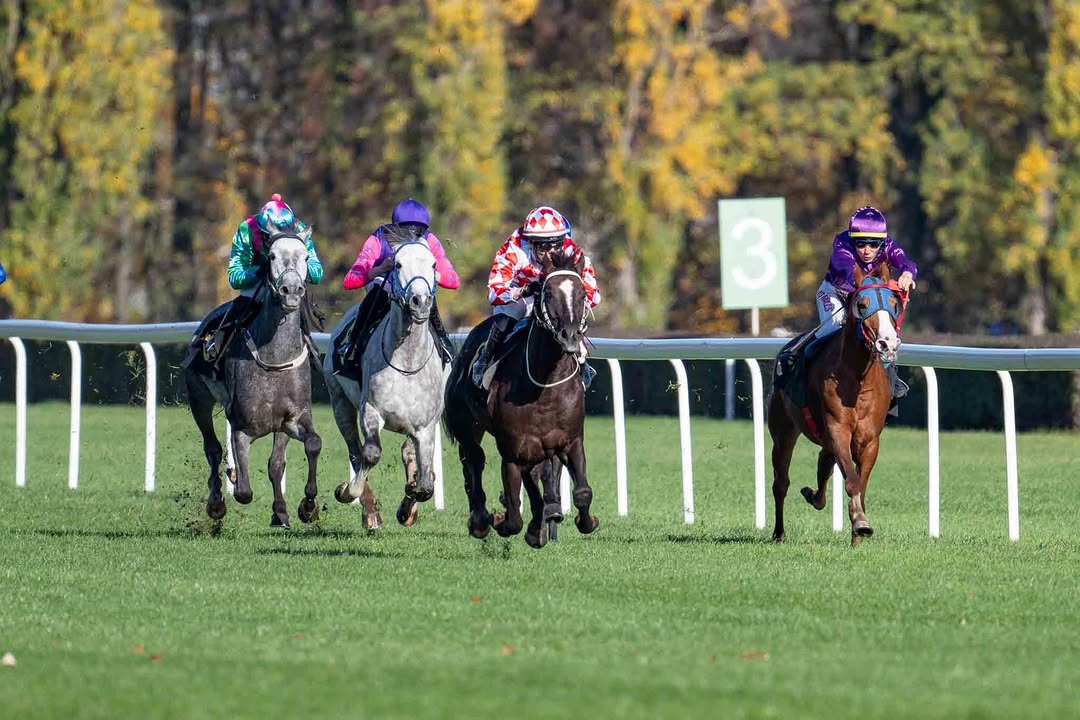 Locul 1 pentru KUBA DE VERE la Varșovia!