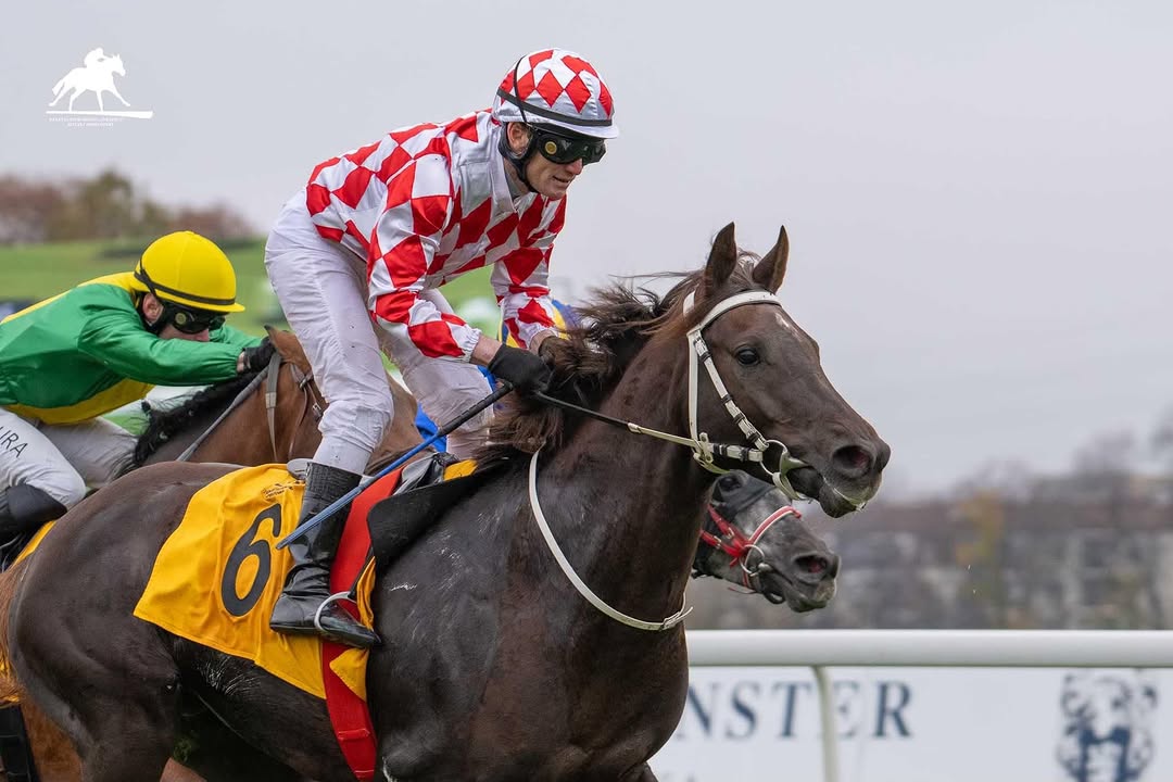 Locul 1 pentru FIFRE AL MAURY