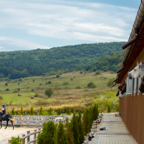 evitastud-centru de echitatie-042