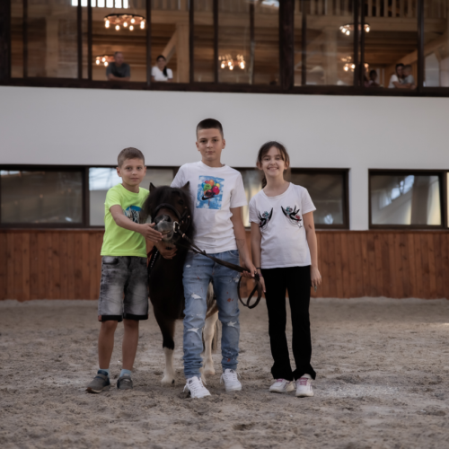 evitastud-centru de echitatie-099