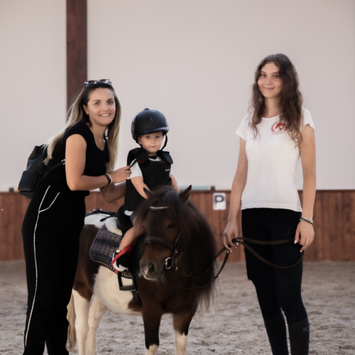 evitastud-centru de echitatie-100