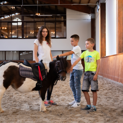 evitastud-centru de echitatie-101