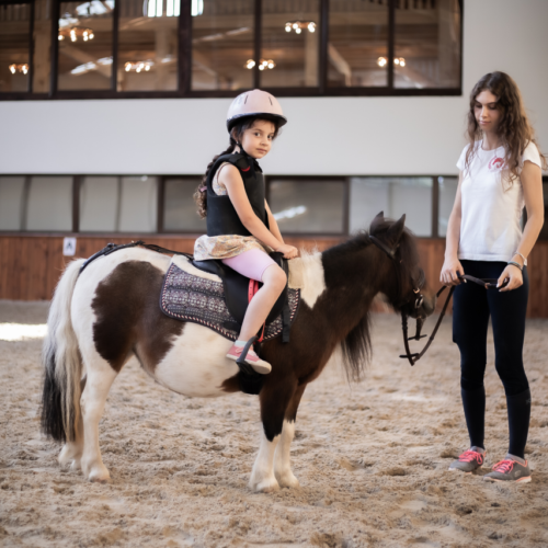 evitastud-centru de echitatie-104