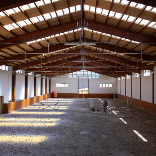 evitastud-centru de echitatie-105