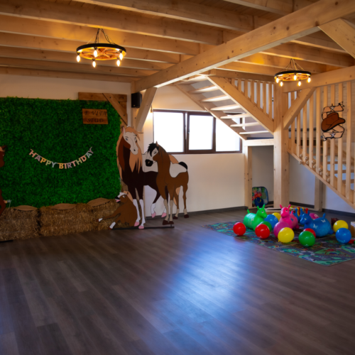 evitastud-centru de echitatie-109