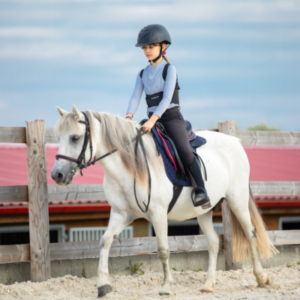 evitastud-centru-de-echitatie-032-1-400x400 evitastud-centru-de-echitatie-032-1-400x400
