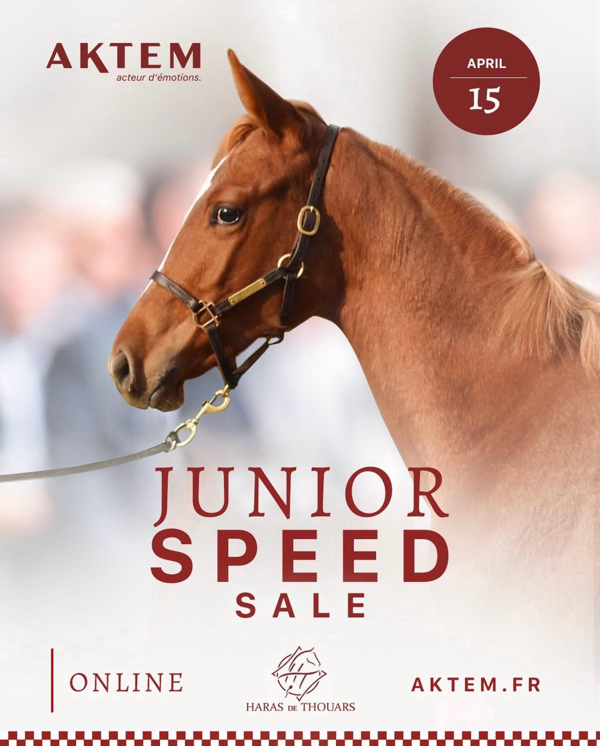 Junior Speed Sale — April 15 & 16 | E Vita Stud